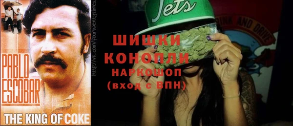 гидра Кинешма
